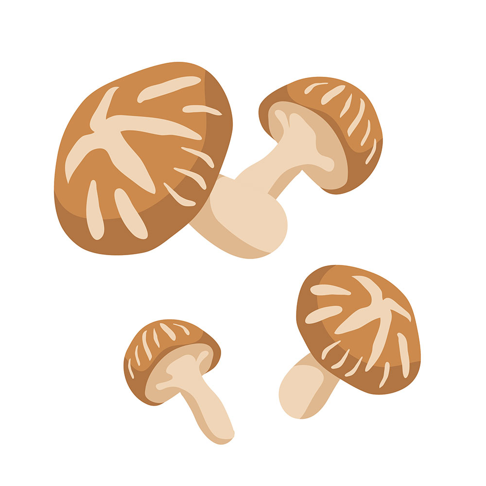 きのこのイラスト