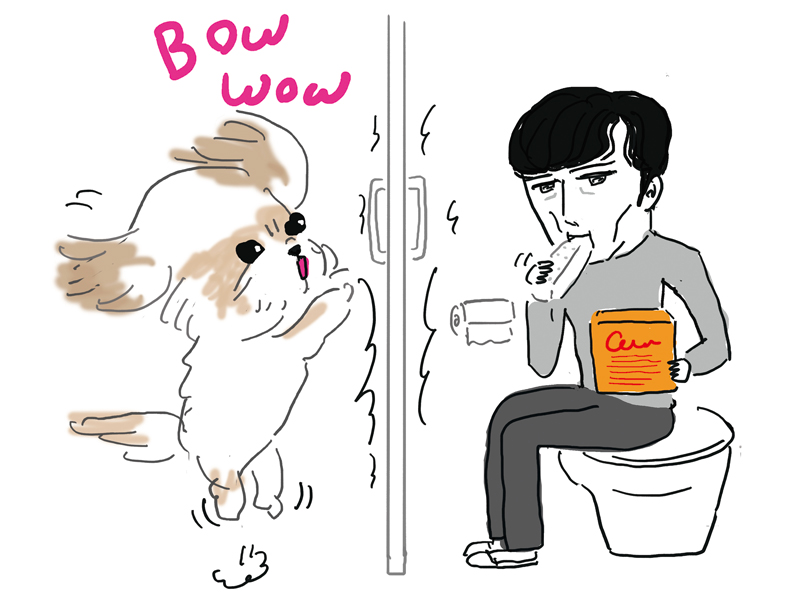 メロメロパンチパパ