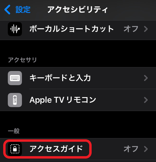 アクセシビリティ画面のスクリーンショット。アクセスガイドの部分が赤で囲まれている