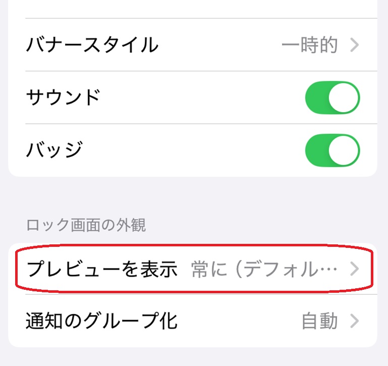 プレビューを表示という項目が赤で囲まれている画像