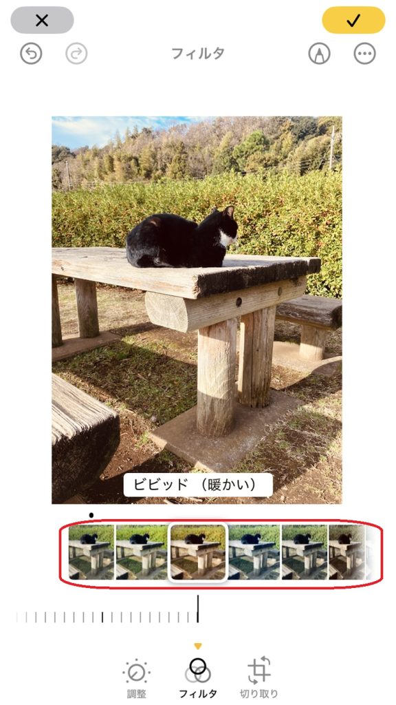 フィルタ選択画面。フィルタ部分が赤で囲まれており、写真ではビビッドなフィルタがかかっている状態