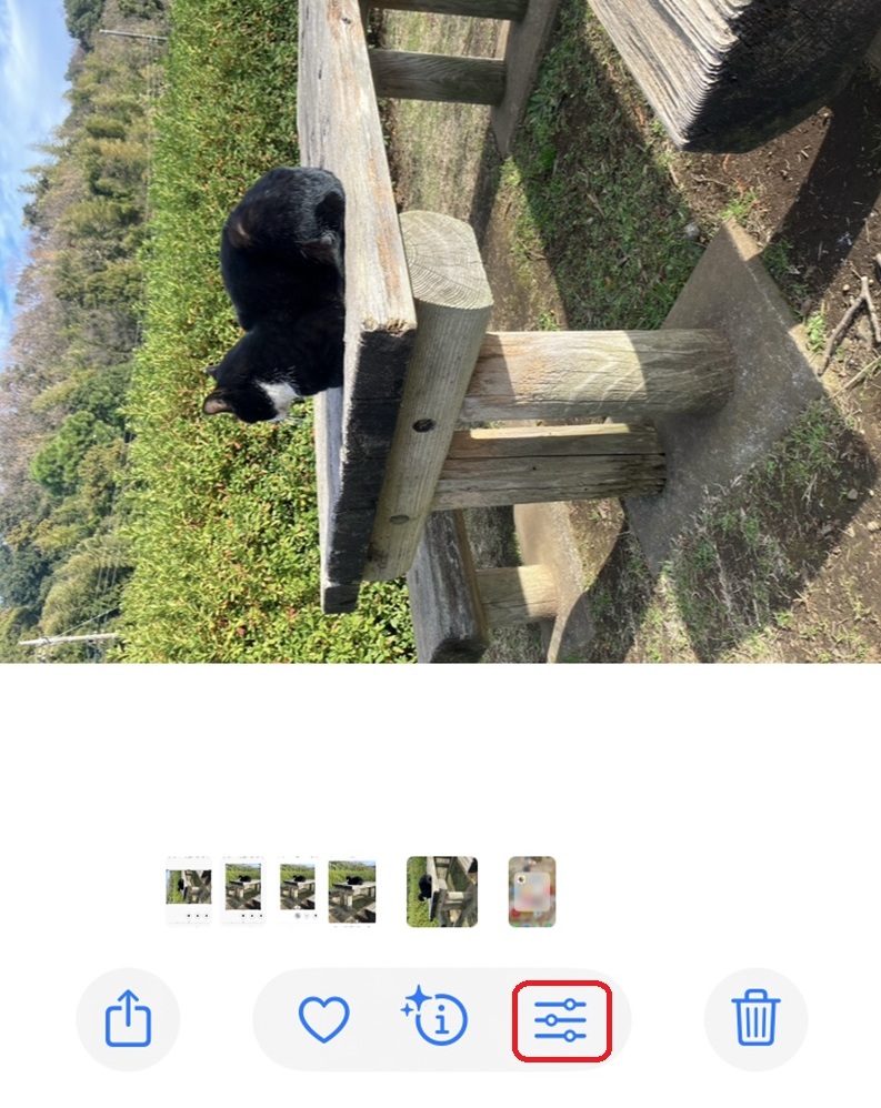 猫の写真が左に90度傾いている写真の編集画面