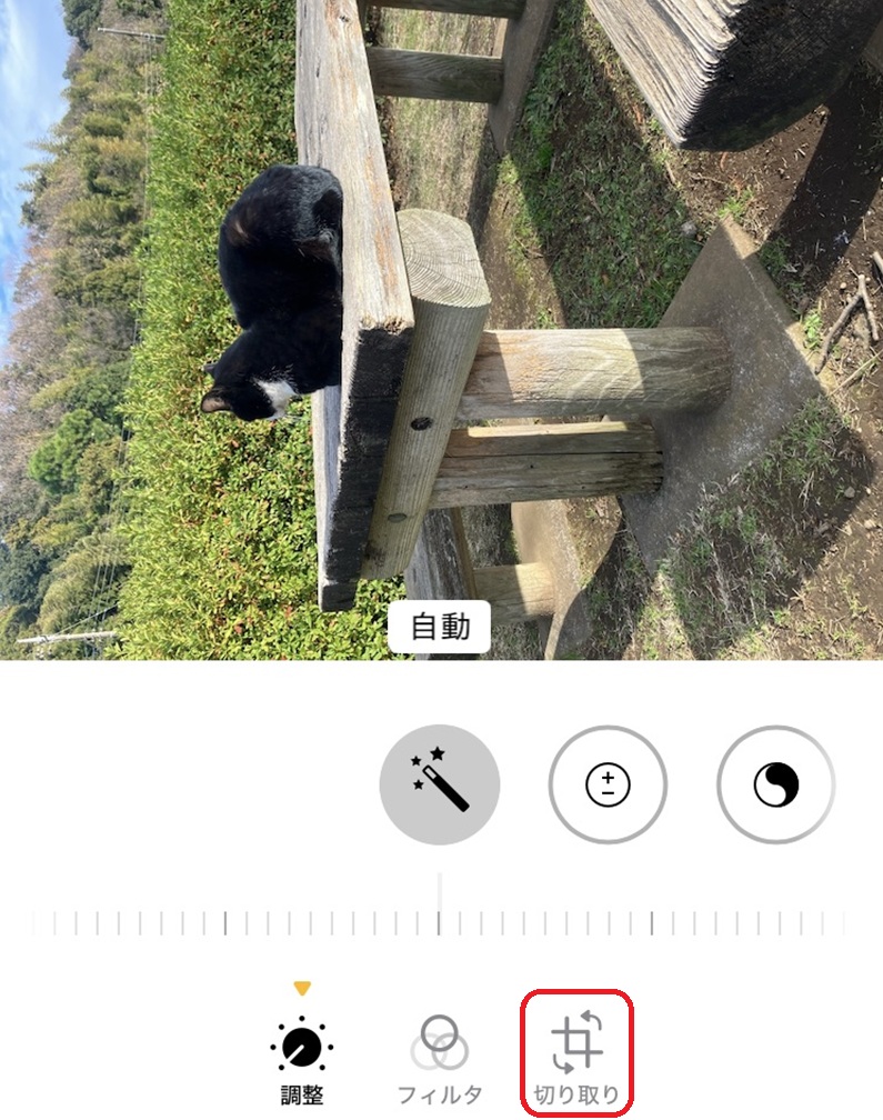 画像の編集画面。切り取りアイコンが赤で囲まれている