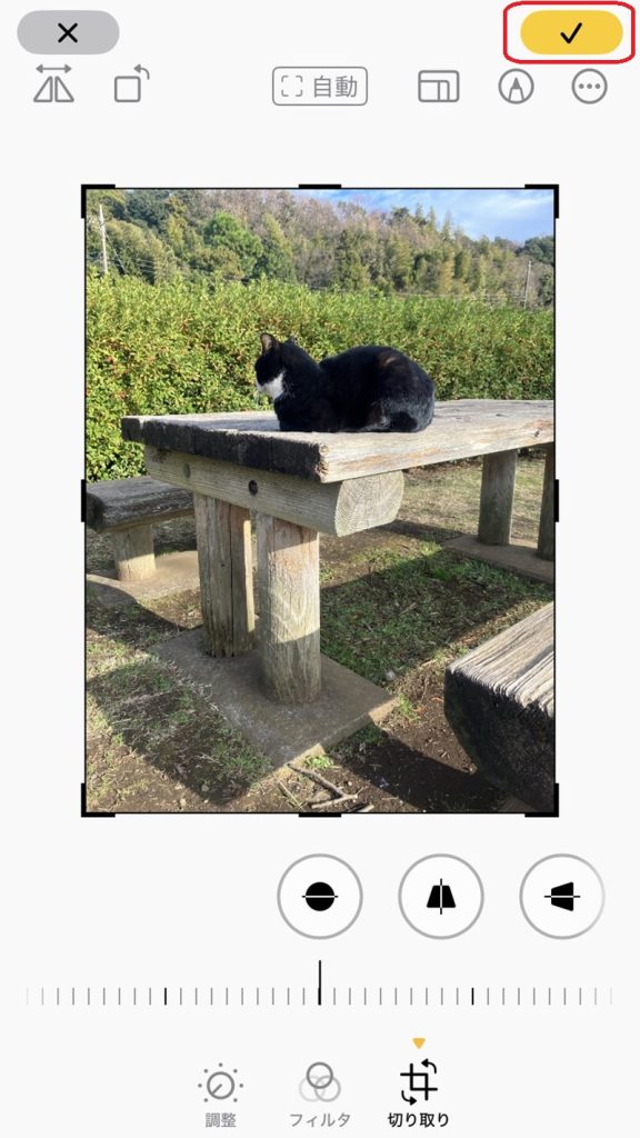 画像の編集画面。正しい向きに写真が修正され、チェックマークが赤で囲まれている