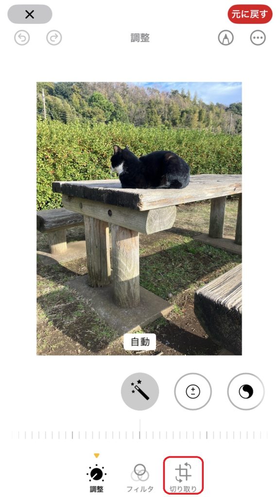 画像の編集画面。切り取りマークが赤で囲まれている