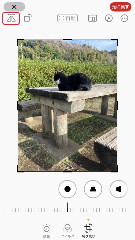 画像の編集画面。左右反転マークが赤で囲まれている