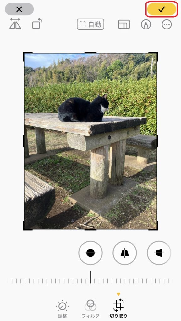 画像の編集画面。画像が左右反転され、チェックマークが赤で囲まれている