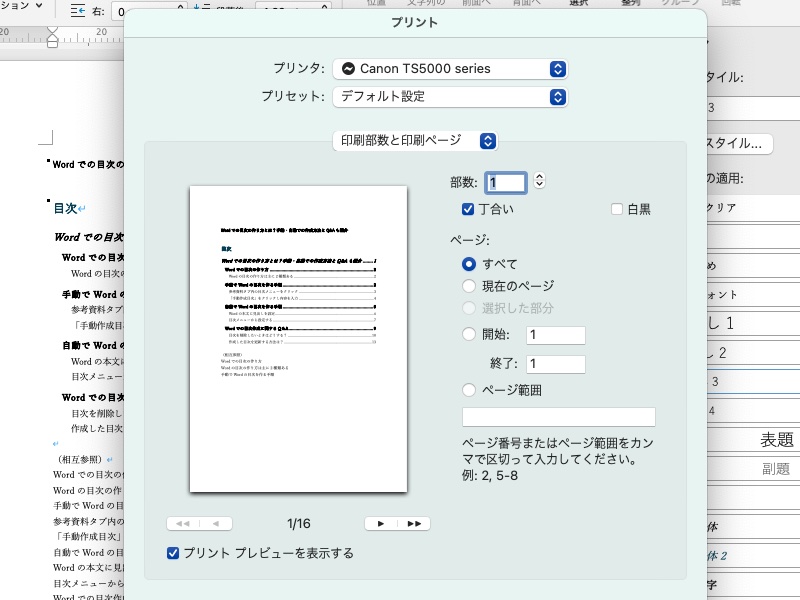 Wordの印刷プレビュー画面