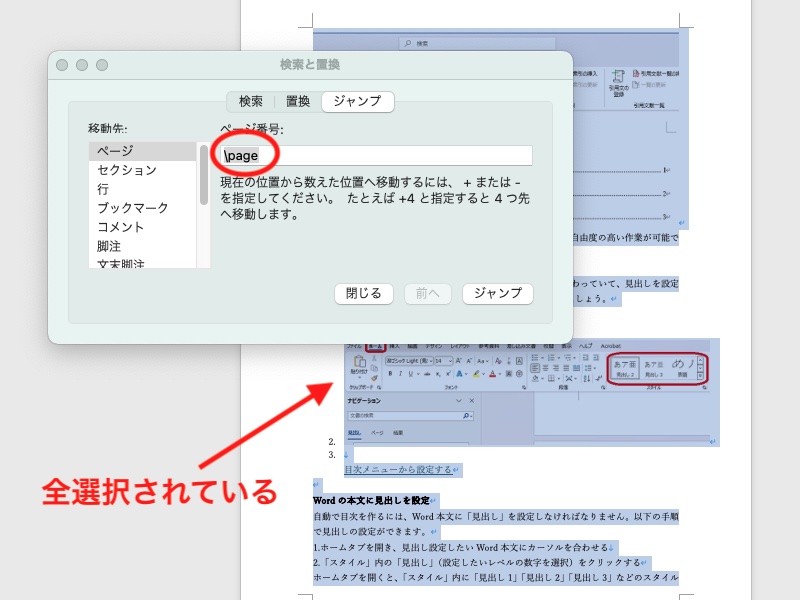 Wordのジャンプ機能でページを全選択した画面