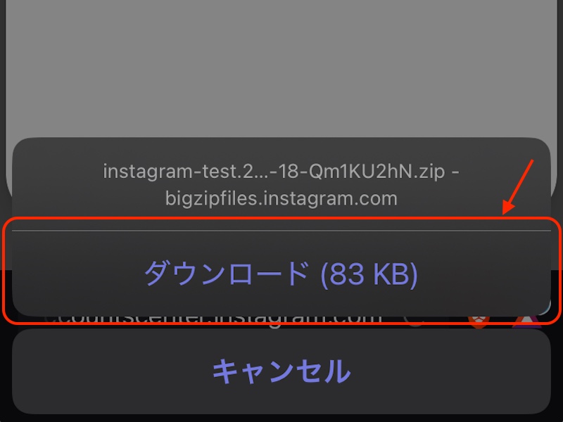 インスタグラムから情報をダウンロードしている画面