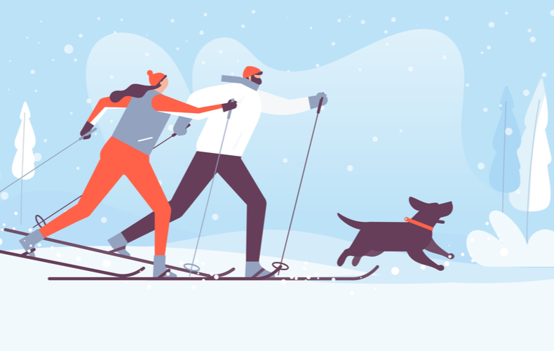 犬も歩けば棒に当たる