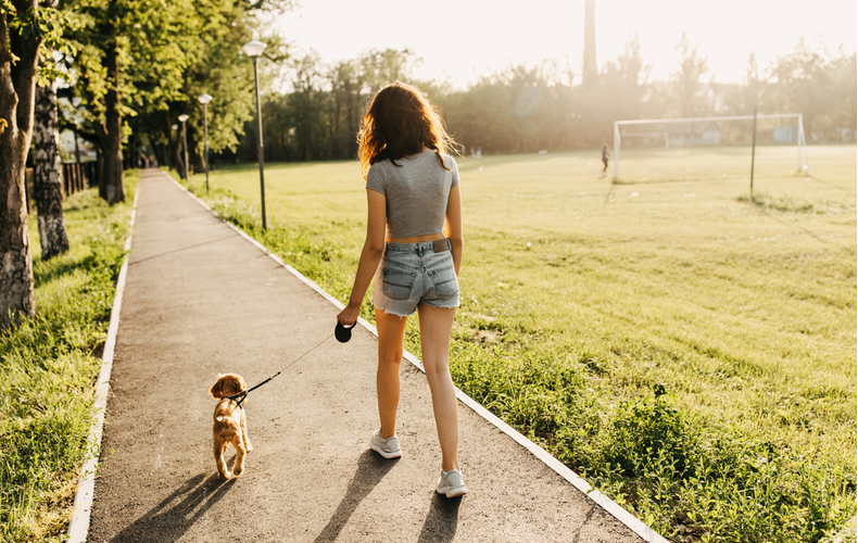犬も歩けば棒に当たる