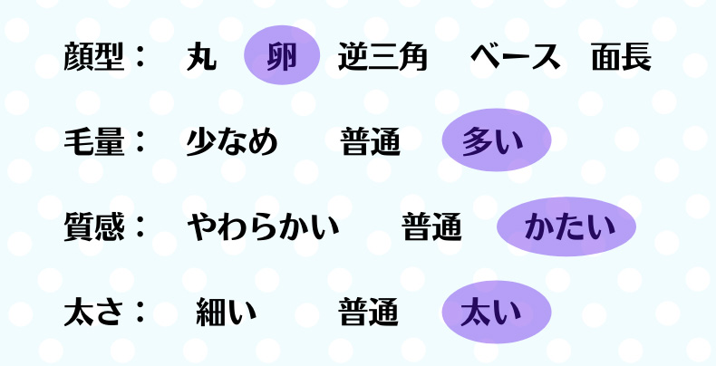 顔型 卵、毛量 多い、質感 かたい、太さ 太い