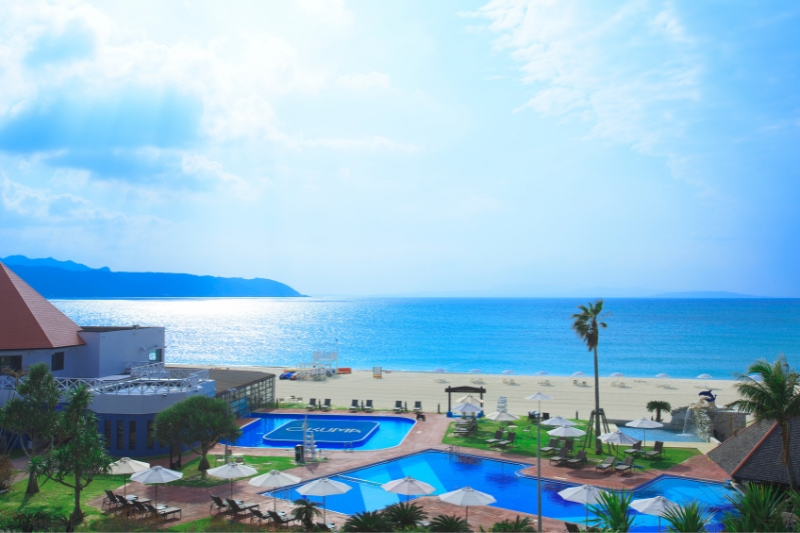 プールの全景写真