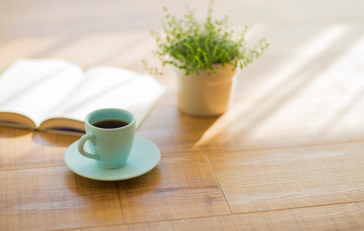コーヒと植物、本
