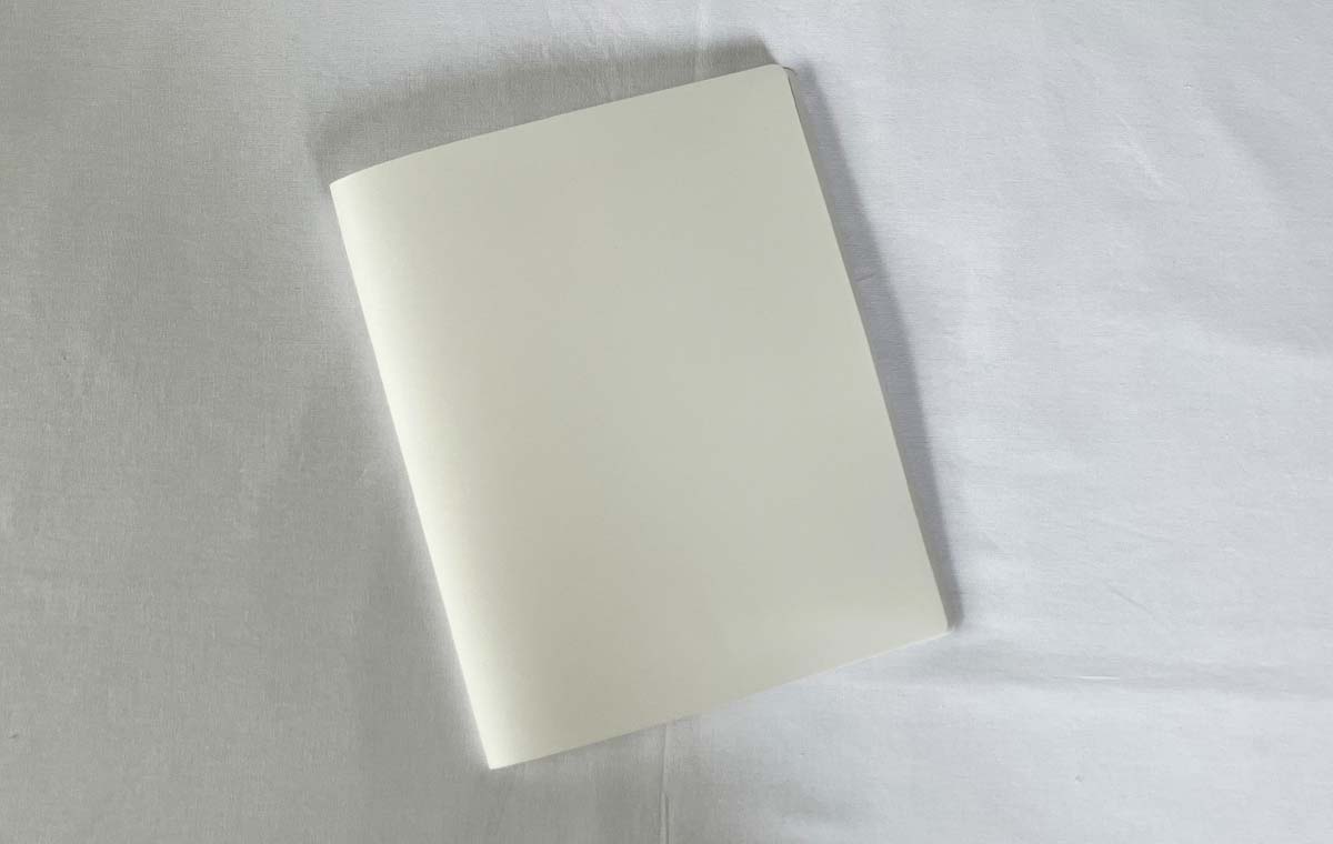 セリアの「トレーディングカード用ファイル(スリム)」