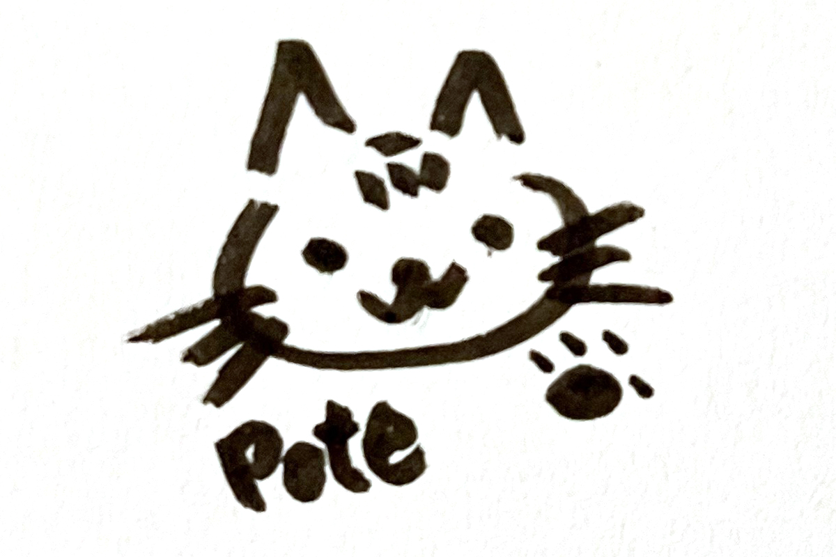 宇月さんのイラスト（猫）