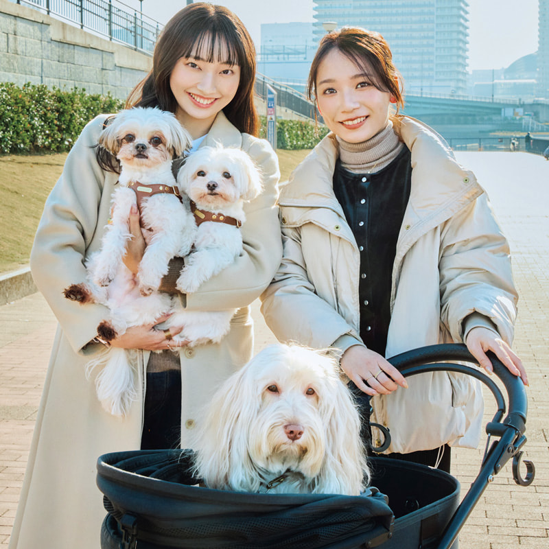 犬活 オッジェンヌ