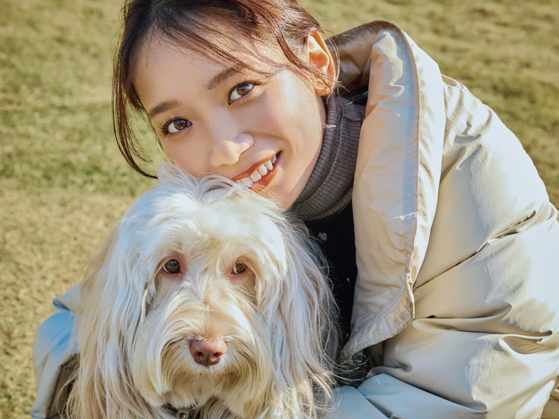 オッジェンヌ 犬活