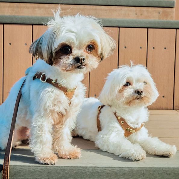 コパン&ペッシュくん