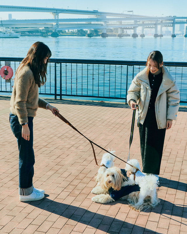 オッジェンヌ 犬活