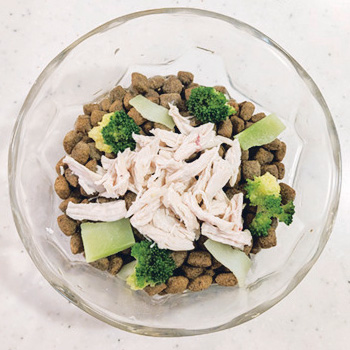 わんこ日記 トトくん