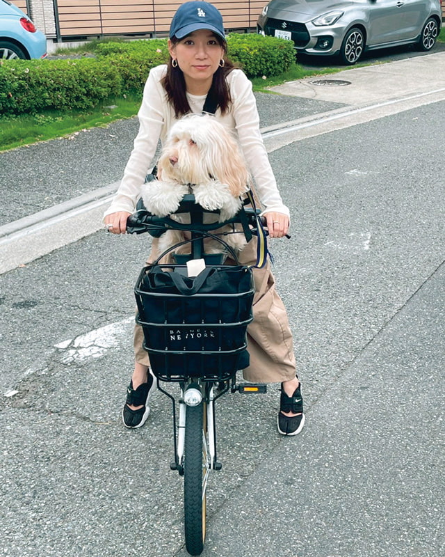 わんこ日記 トトくん