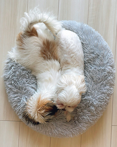 コパン&ペッシュくん