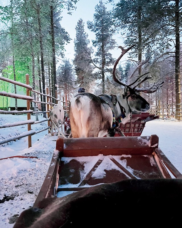フィンランド・サンタクロース村（宮里絵梨香さん・30歳）