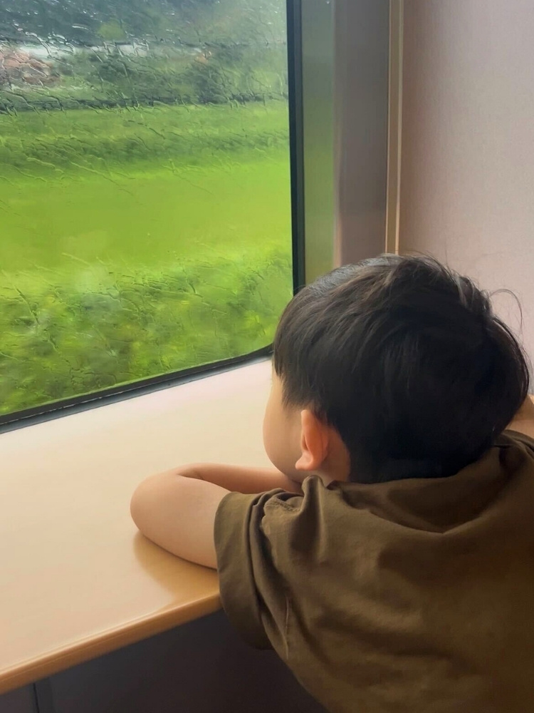 車窓から外の景色を眺める息子さんの写真