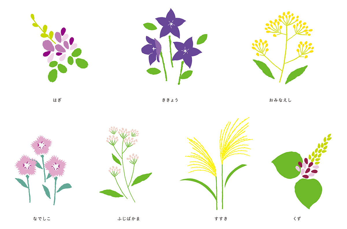 秋の七草