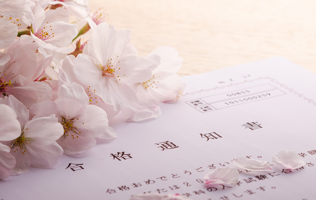桜と合格通知書の写真
