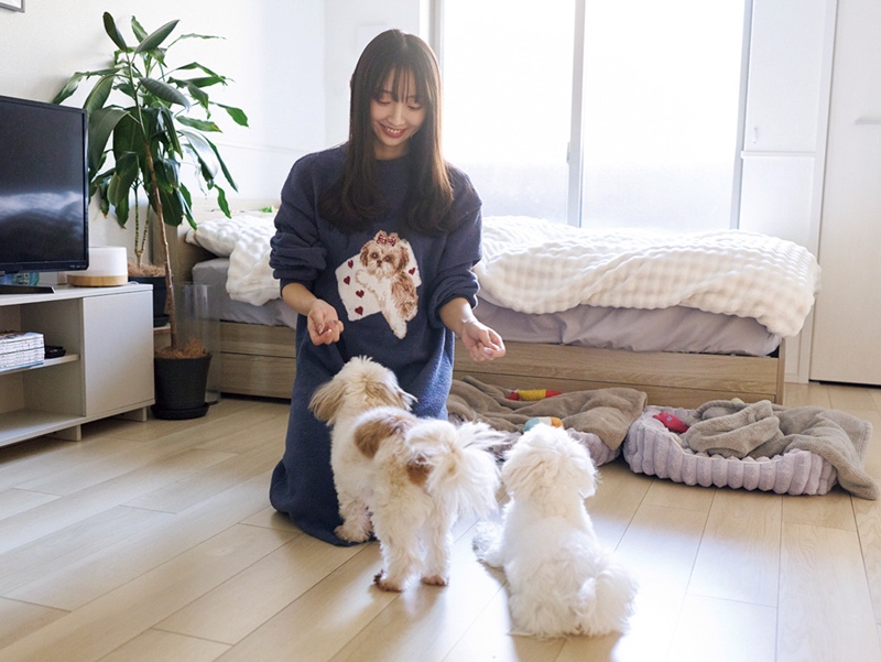 起床。愛犬と朝の挨拶