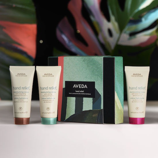 町田啓太 アヴェダ aveda 2022 クリスマスコフレ ホリデー