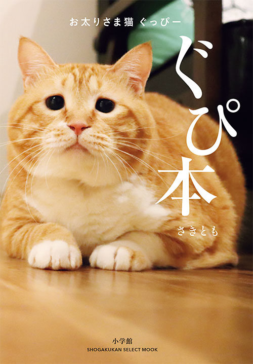 画像ALT