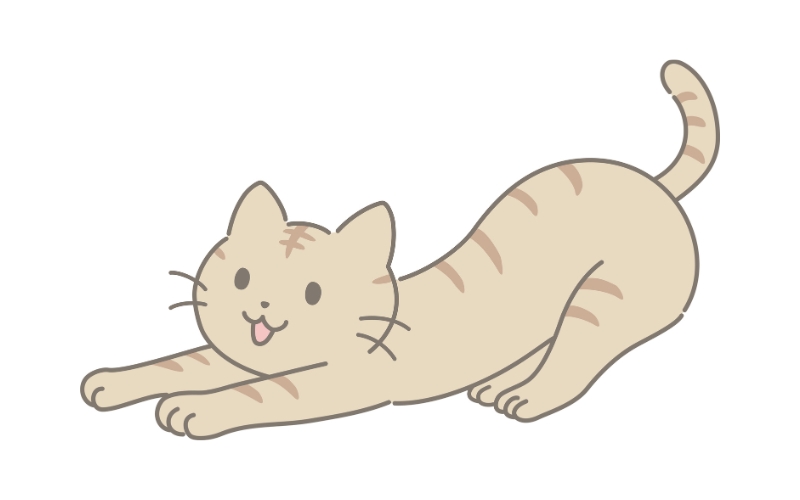 猫の伸び
