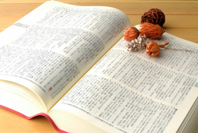 辞書