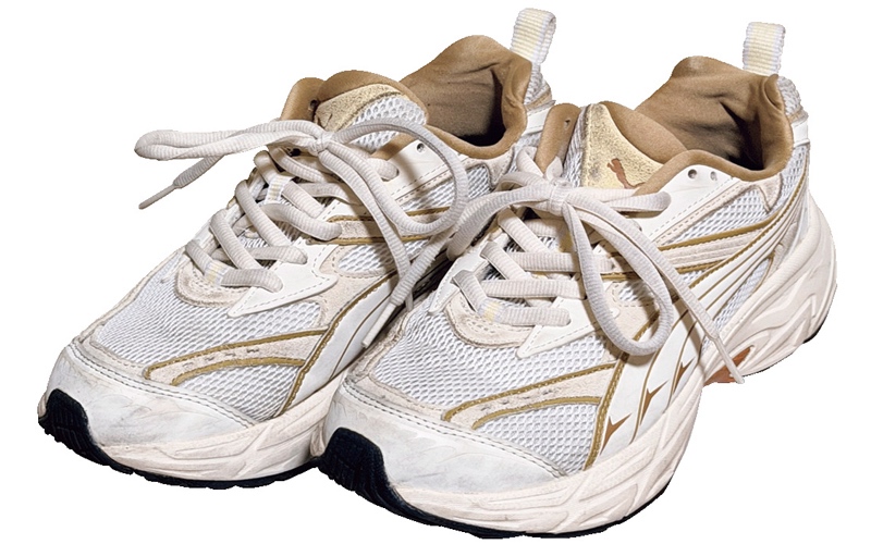 PUMA