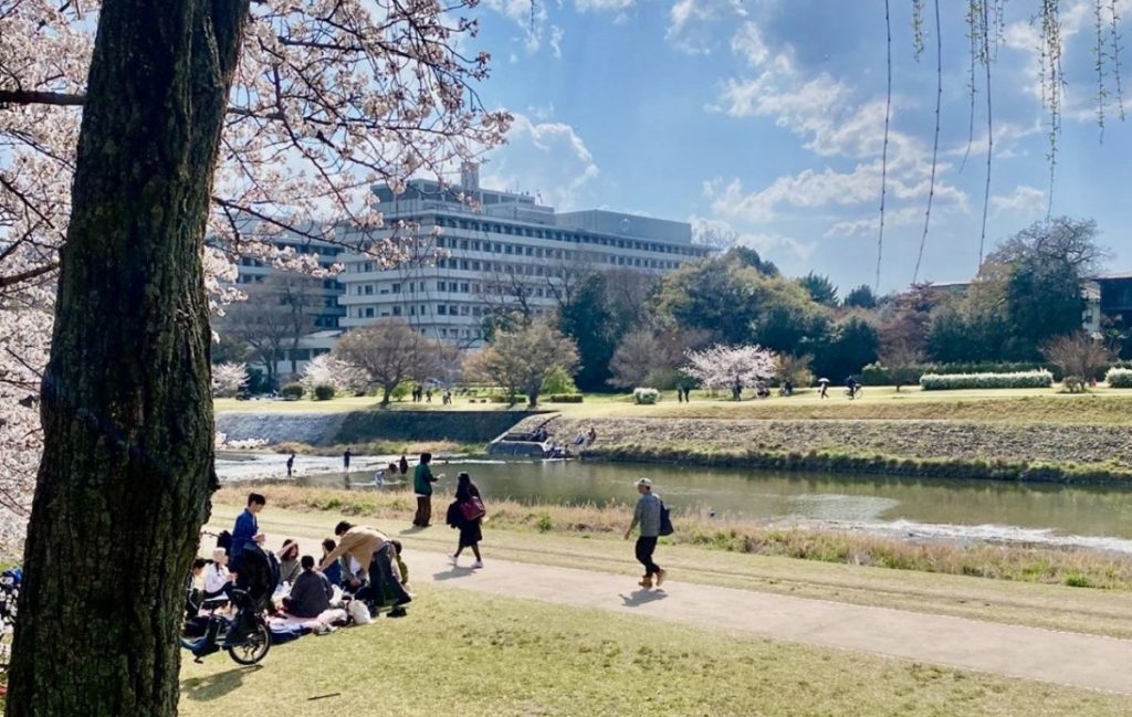 鴨川の様子