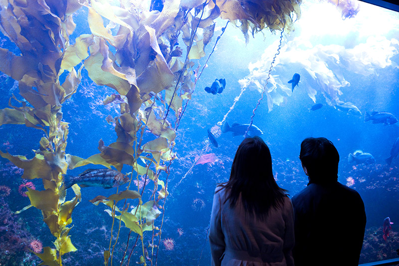 水族館