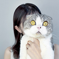 ゆとり