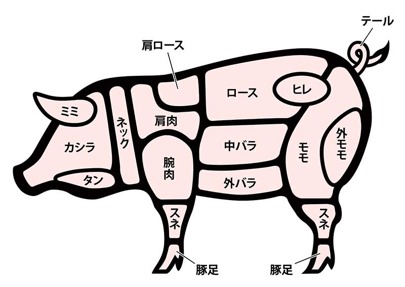 豚肉の部位模式図