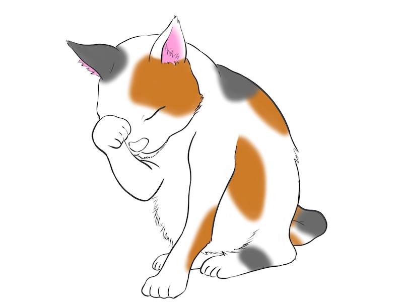 顔をこする猫のイラスト