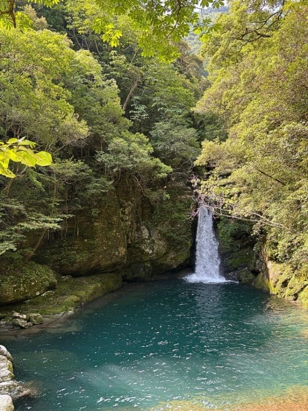 滝が流れている写真