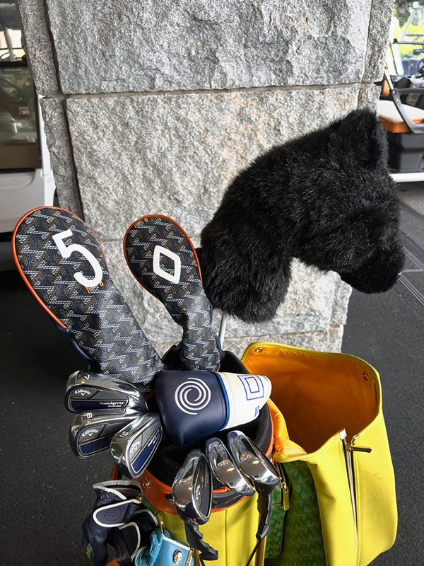 レザレクションのアイテム