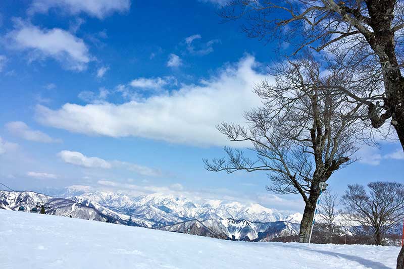 新潟の雪山