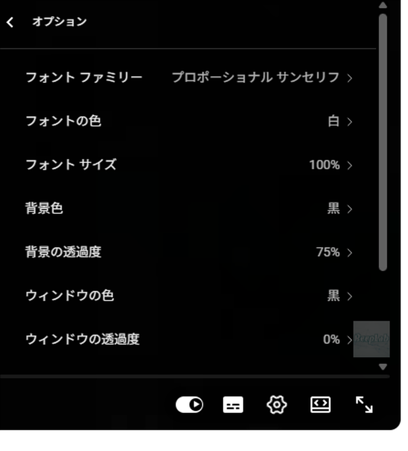 YouTube 字幕オプション設定画面