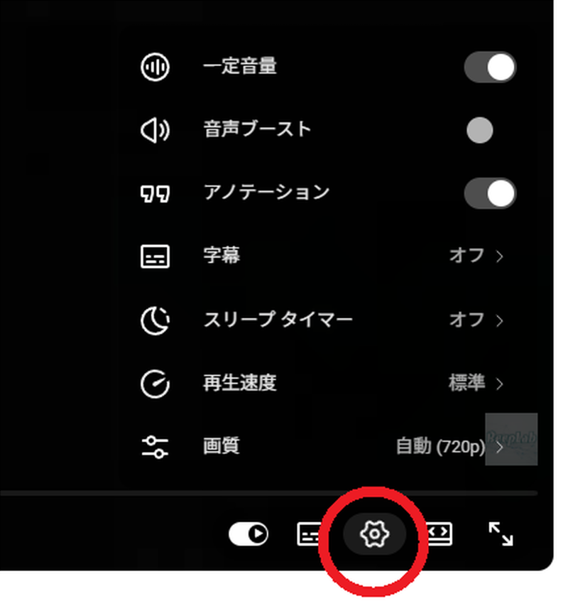 YouTube動画下の設定ボタンを押した画面