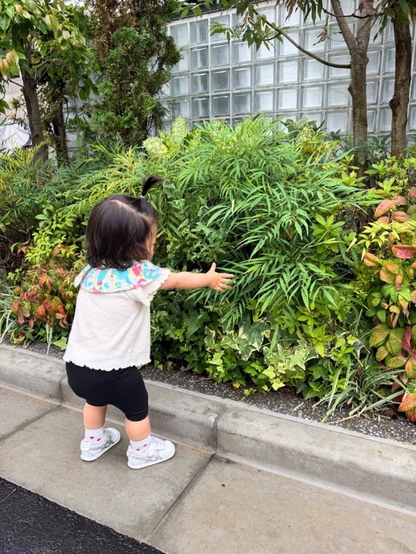 植物に向かって両手を広げる娘さんの後姿の写真