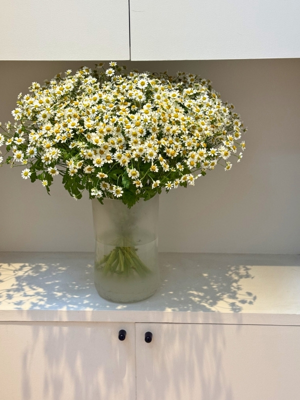 大きく咲いた花がさされている花瓶の写真
